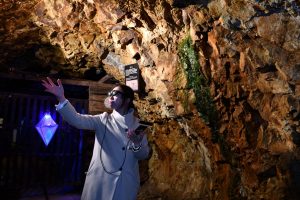 jY~ِĚInR̐VoAgNVuAChE~[WṽC摜