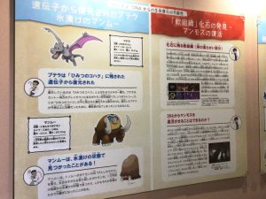 �b��́u�|�P�������Δ����فv���V���������R�Ȋw�قŊJ�Ò��I�i6��25���܂Łj�̉摜5